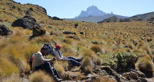 Mount Kenya is the highest mountain in Kenya