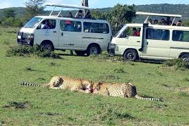 Kenya safari camping tour