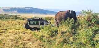 Ngorongoro Safari is a wonderful safari in Tanzania Holiday safari